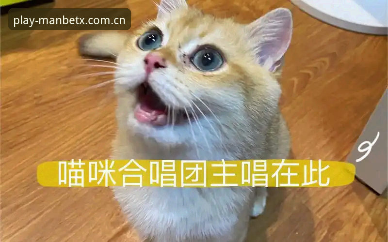 狗万体育官网深度评测：从专业视角解析狗万安卓版使用体验